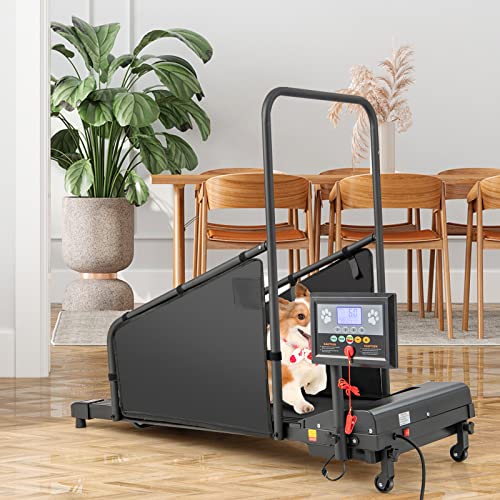 Black Pet Treadmill with Remote Control and 1.4'' Display Screen Y6825