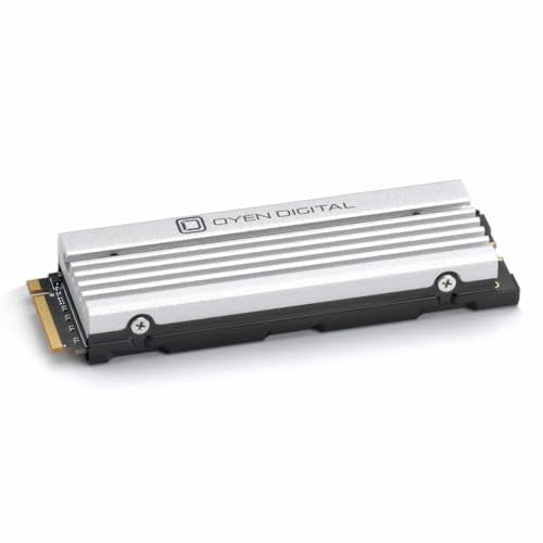 4TB NVMe PCIe TLC NAND SSD with Heatsink W4876