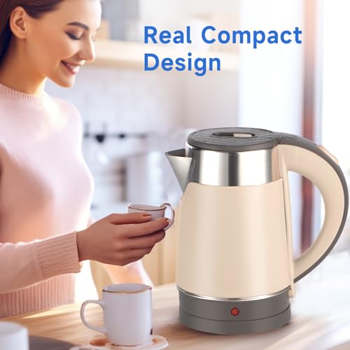 0.8L Stainless Steel Electric Tea Kettle B7885