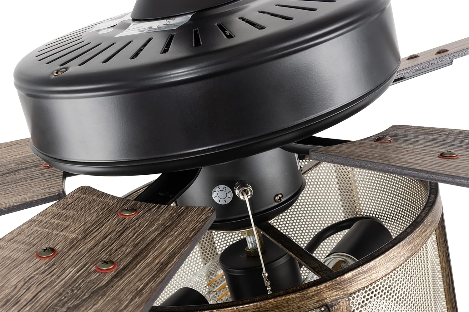 Matte Black Caged Ceiling Fan with Lights Remote Control I867