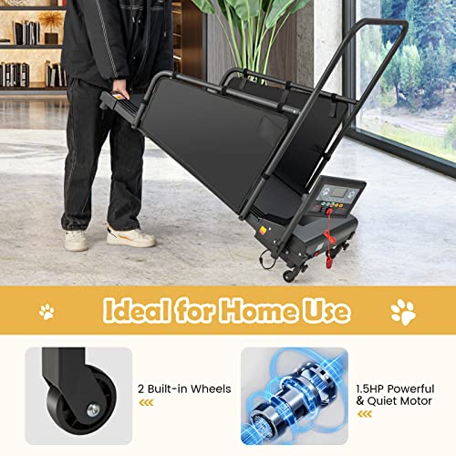 Black Pet Treadmill with Remote Control and 1.4'' Display Screen Y6825