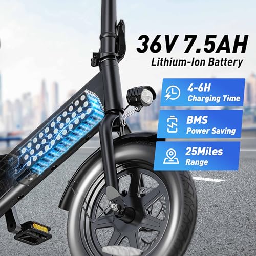 Folding Electric Bicycle with 350W Motor and 36V 7.5Ah Battery P32999