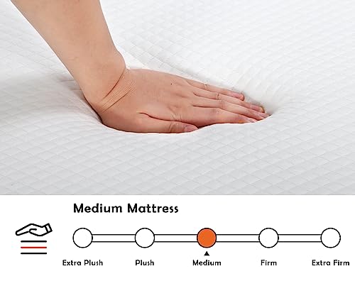 5 Inch Gel Memory Foam Queen Mattress G564