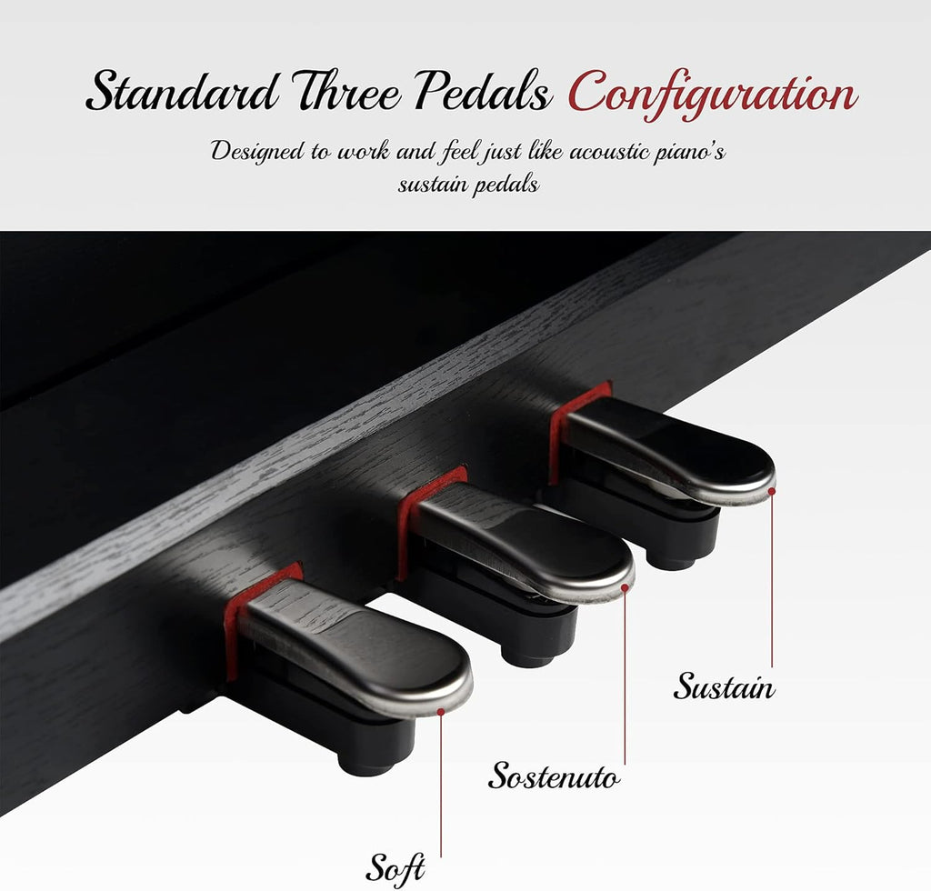 Black 88 Key Weighted Hammer Action Digital Piano N38264