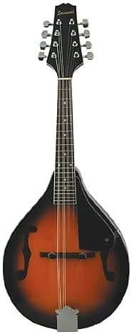 Sunburst Mandolin E29585