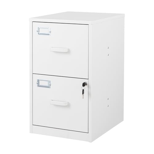 2 Drawer Steel Vertical File Cabinet with Lock F259