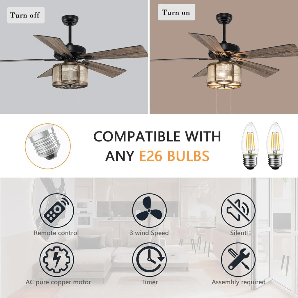 Matte Black Caged Ceiling Fan with Lights Remote Control I867