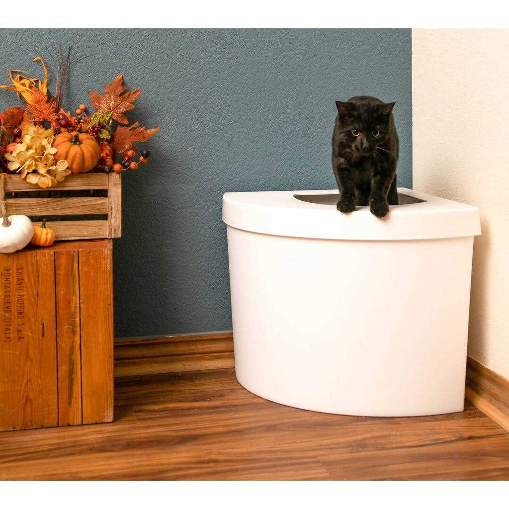 Standard Litter Box Kitangle B677