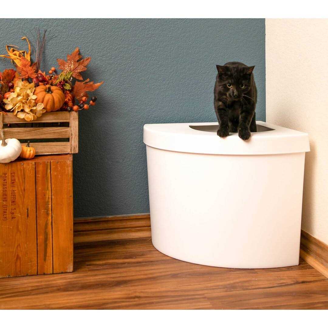 Standard Litter Box Kitangle B677