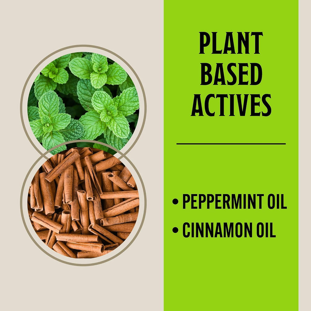 16 fl oz Peppermint & Cinnamon Oil Rodent Repellent Spray H656