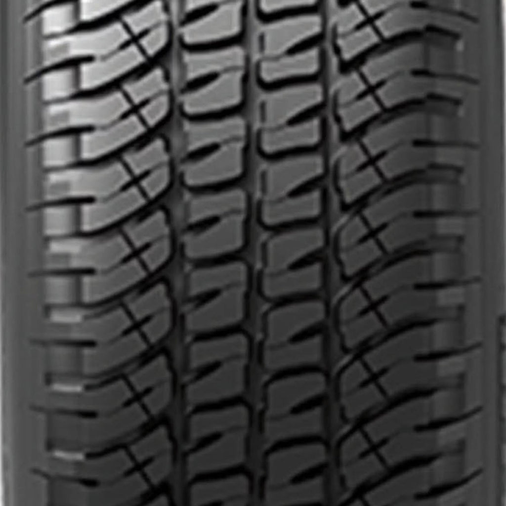 245/65R17 107S All-Season Tire V541583