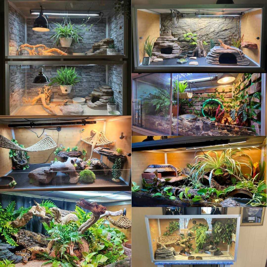 4'x2'x2' PVC Reptile Enclosure W46656