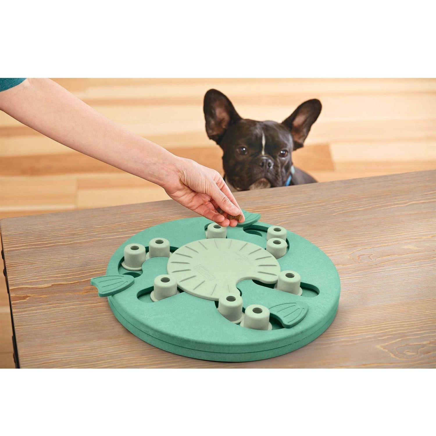 Interactive Puzzle Dog Toy R8784