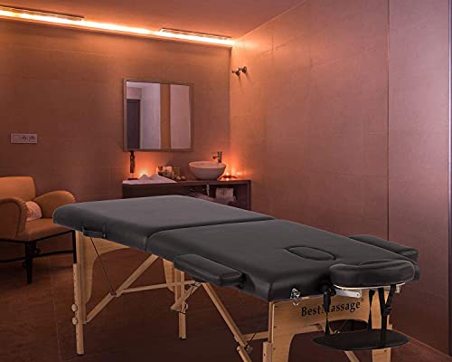 Portable 2 Fold Adjustable Massage Table with Carry Case L5009