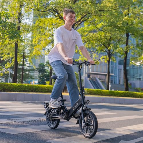 Folding Electric Bicycle with 350W Motor and 36V 7.5Ah Battery P32999