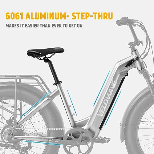 26" Fat Tire Electric Bike with 750W Brushless Motor 48V 15AH Removable Battery Q50015