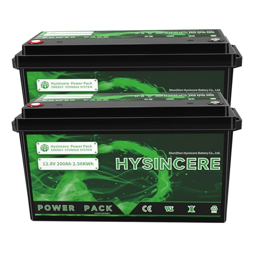 2Pack 12V 100Ah LiFePO4 Lithium Battery with 100A BMS P4673
