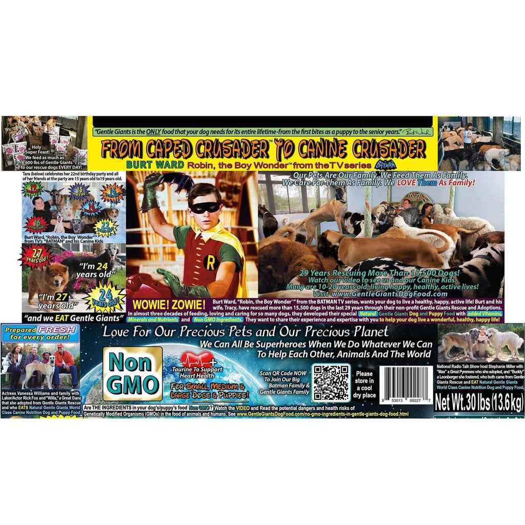 Chicken Dry Dog Food S34429