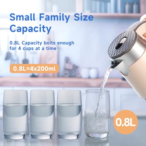 0.8L Stainless Steel Electric Tea Kettle B7885