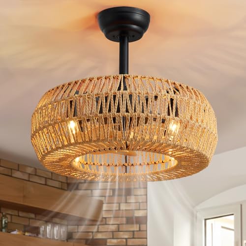 20" Caged Ceiling Fan with Lights Remote Control B7612