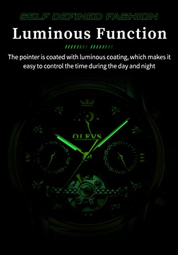 Two Tone Stainless Steel Automatic Dress Watch F168466