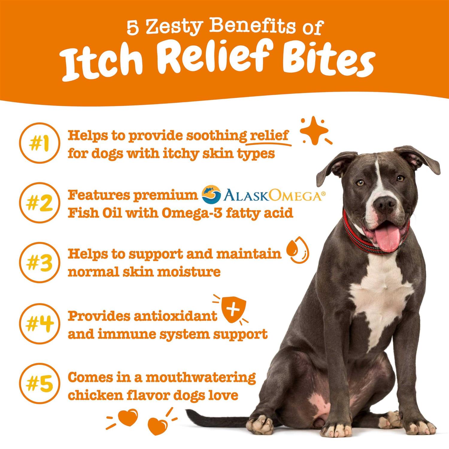 Chicken Flavored Soft Chews Supplement for Dogs N106