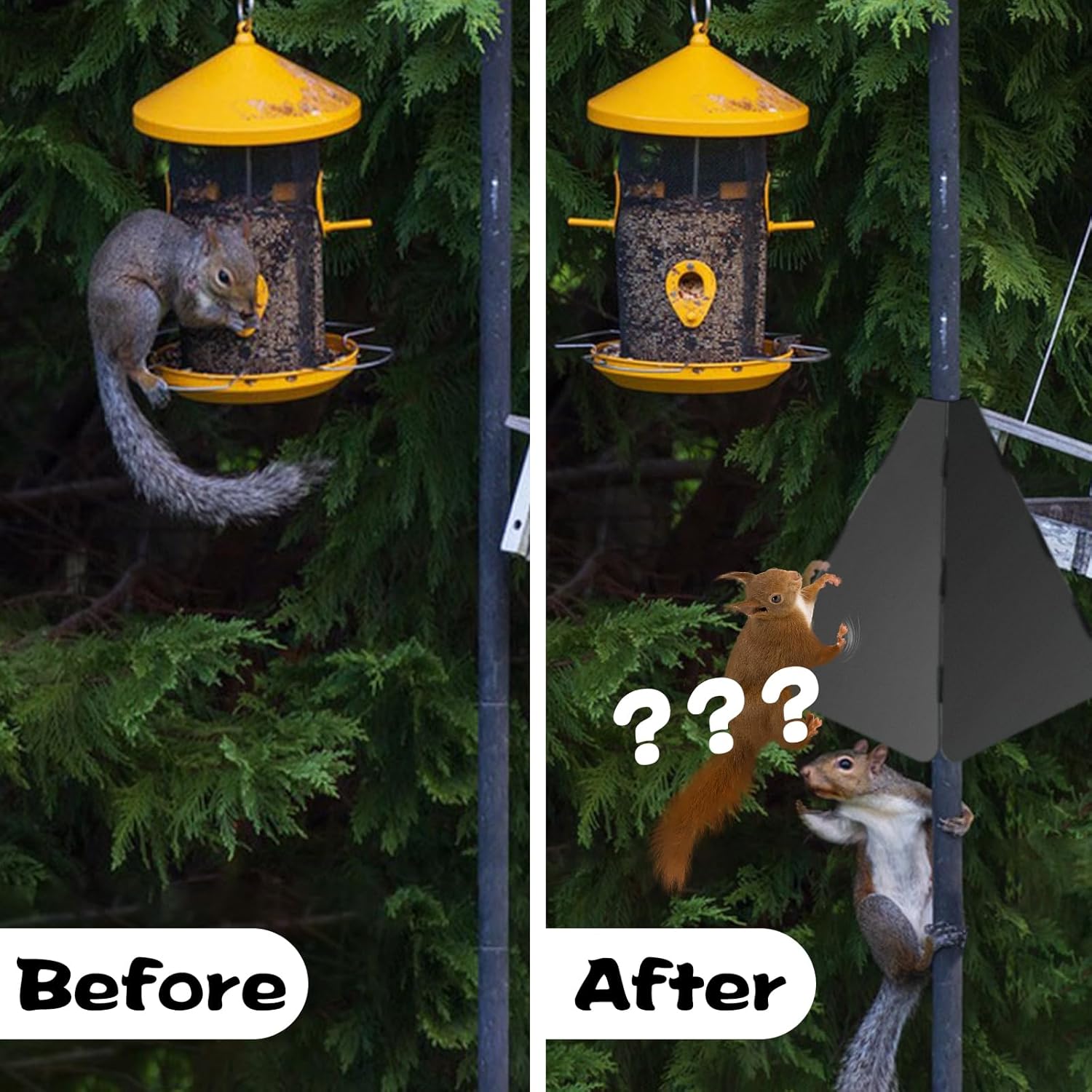Black Squirrel Baffle for Bird Feeder Pole P208218