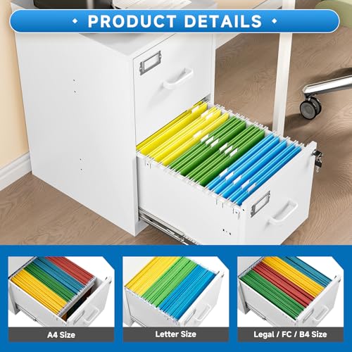 2 Drawer Steel Vertical File Cabinet with Lock F259