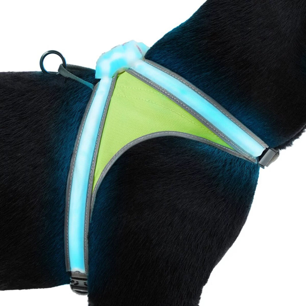 Multicolor Reflective LED Dog Harness J279138