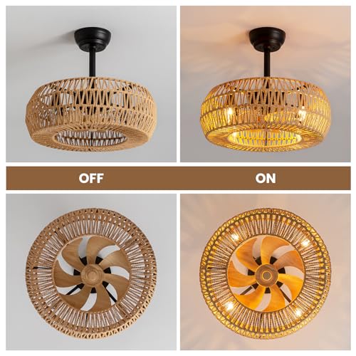20" Caged Ceiling Fan with Lights Remote Control B7612