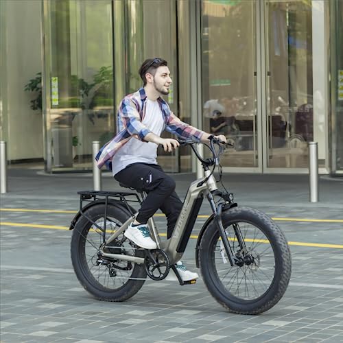 26" Fat Tire Electric Bike with 750W Brushless Motor 48V 15AH Removable Battery Q50015