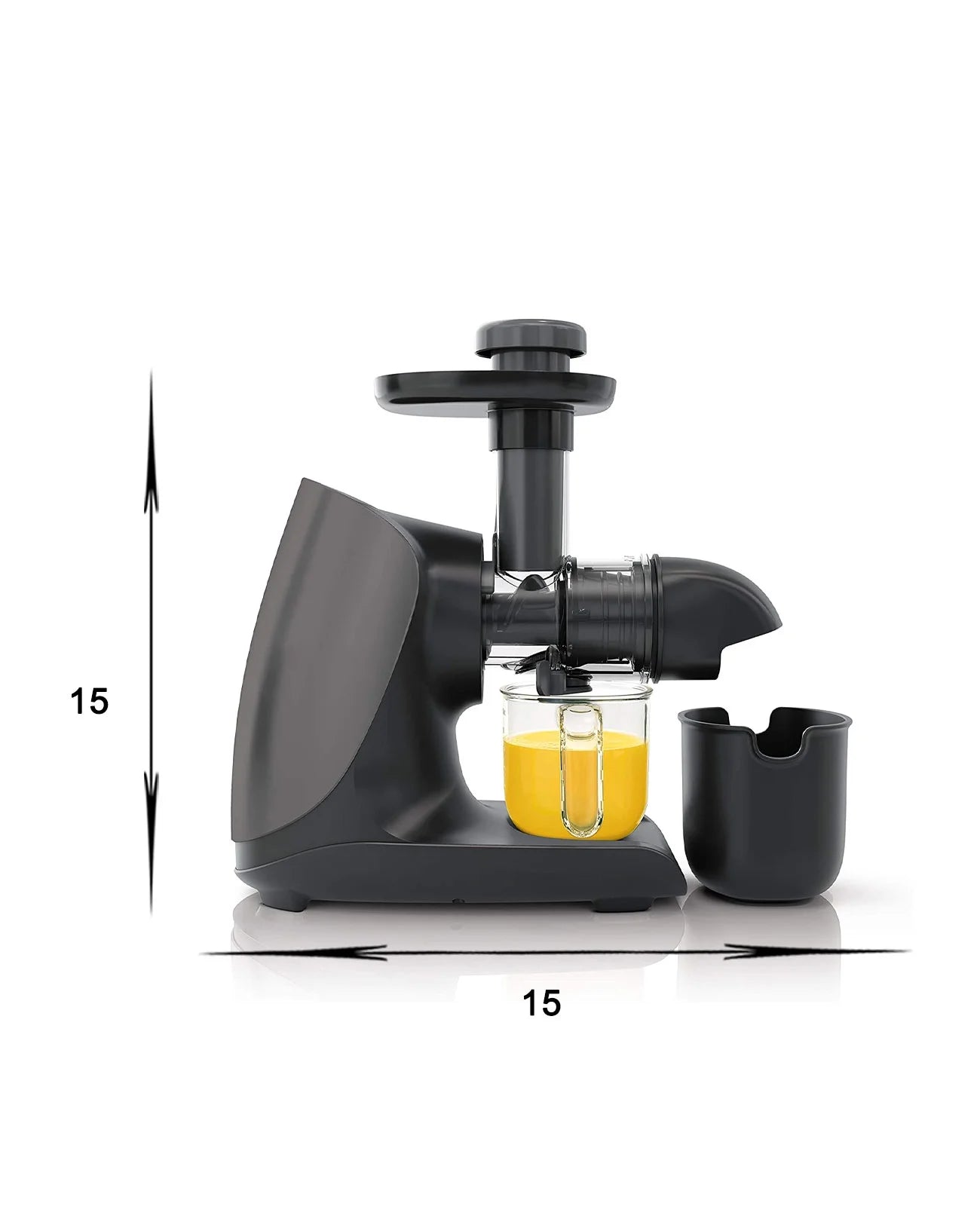 Cold Press Slow Juicer with Total Pulp Control (Black) Q48675