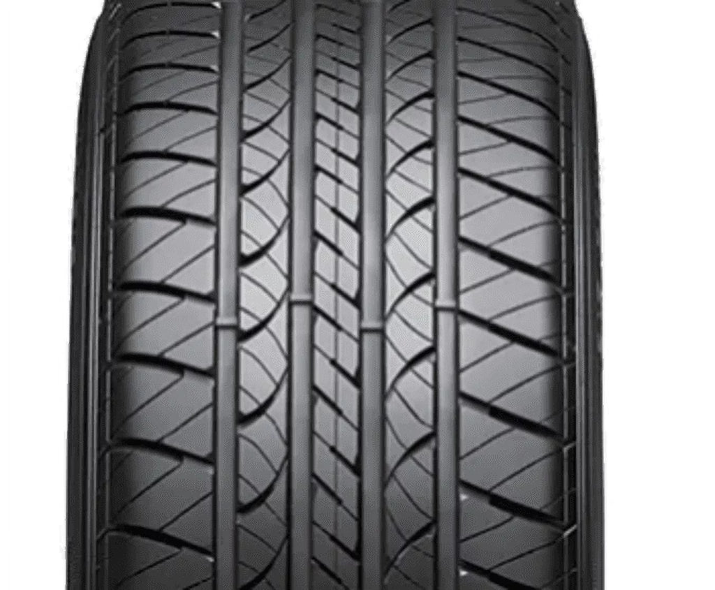 205/55R16 91H All-Season Tire Z550691