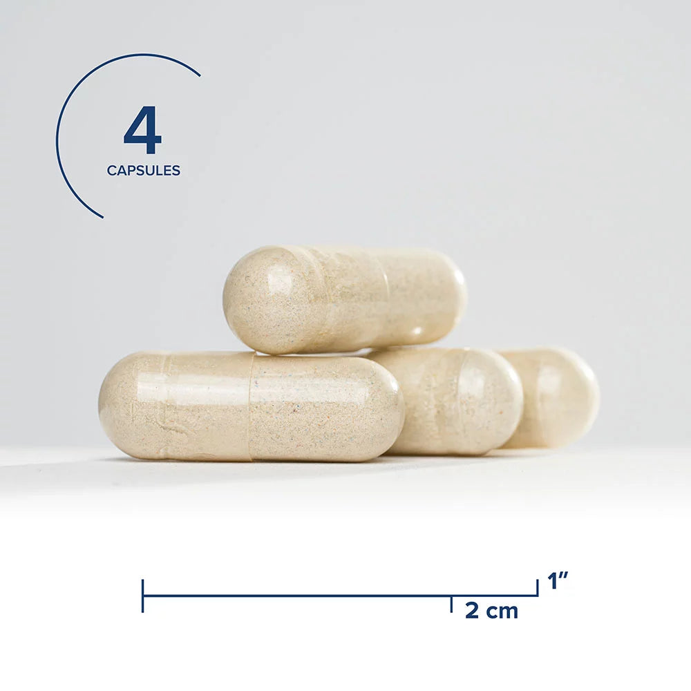 120 Capsules Multivitamin with Iron and Active B Vitamins R824