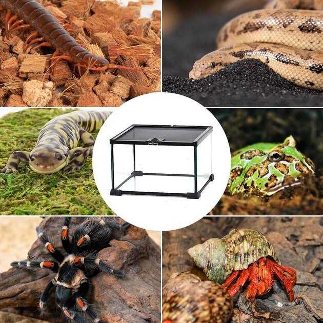 5 Gallon Terrarium I398321