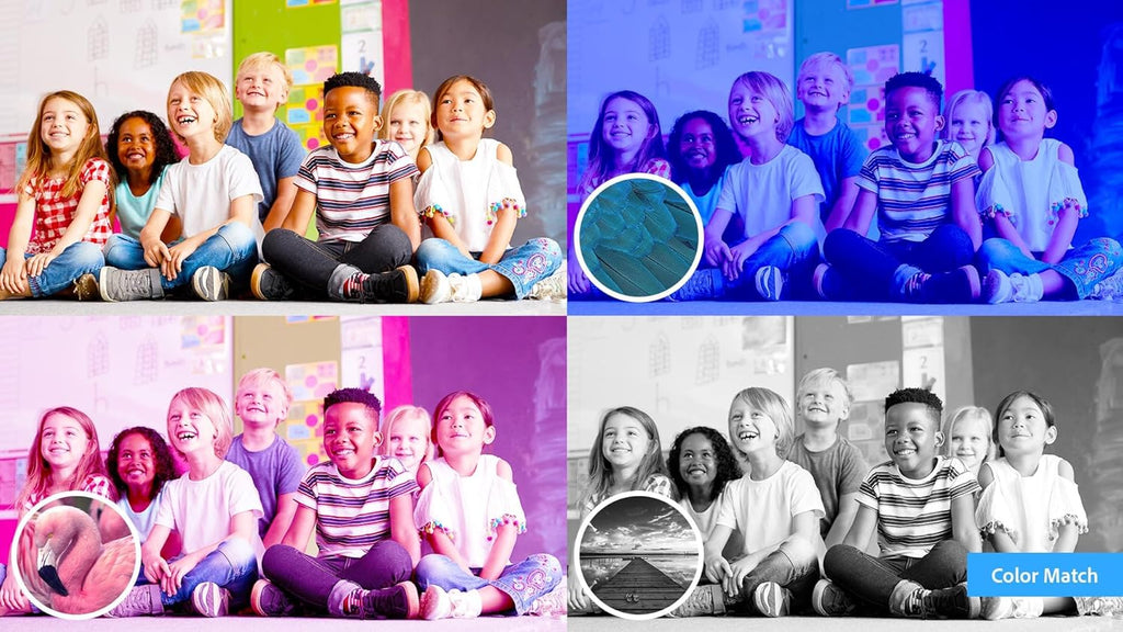 Photoshop Elements 2024 & Premiere Elements 2024 Student & Teacher Edition Mac Code W943187