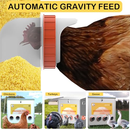 85lbs Metal Poultry Feeder (10-Port) Q4562