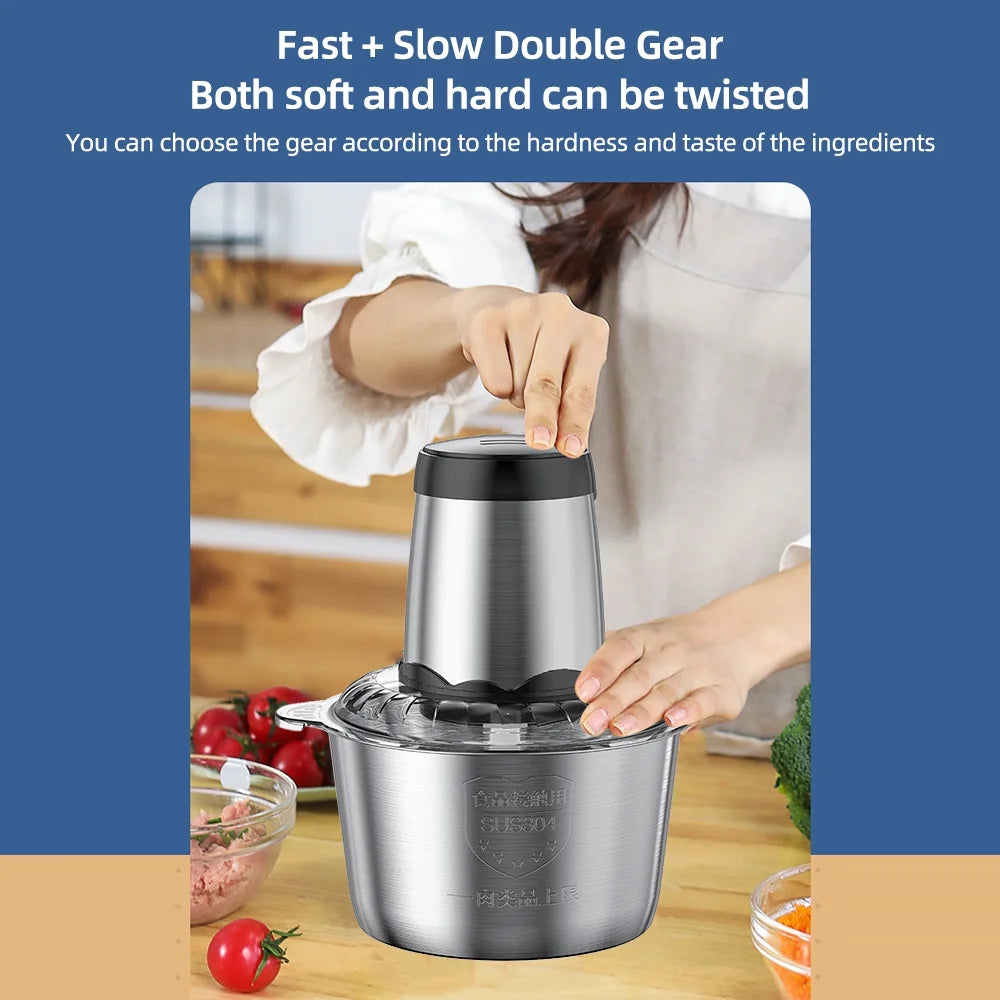 High Power Electric Meat Grinder, 2 Speed Stainless Steel Blender, 3L Capacity D1384