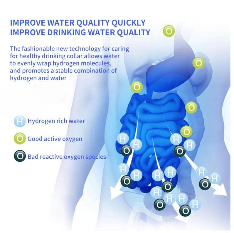 Portable Hydrogen Water Generator with PEM and SPE Technology F7576