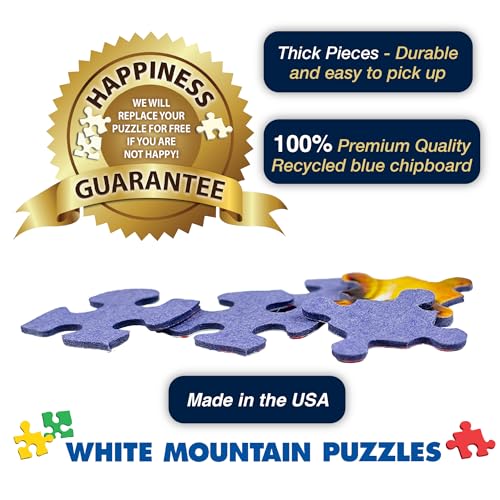 1000 Piece Jigsaw Puzzle 24"x30" K244