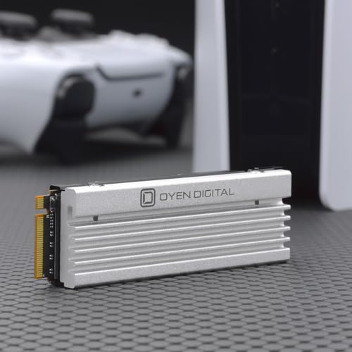 4TB NVMe PCIe TLC NAND SSD with Heatsink W4876