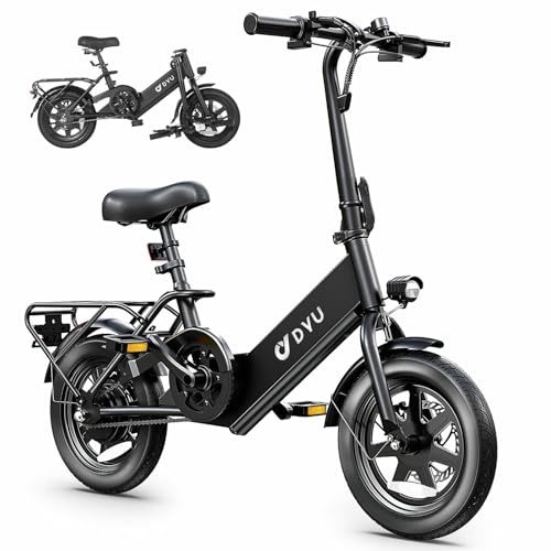 Folding Electric Bicycle with 350W Motor and 36V 7.5Ah Battery P32999
