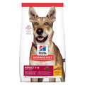 Adult Chicken & Barley Dry Dog Food E424476