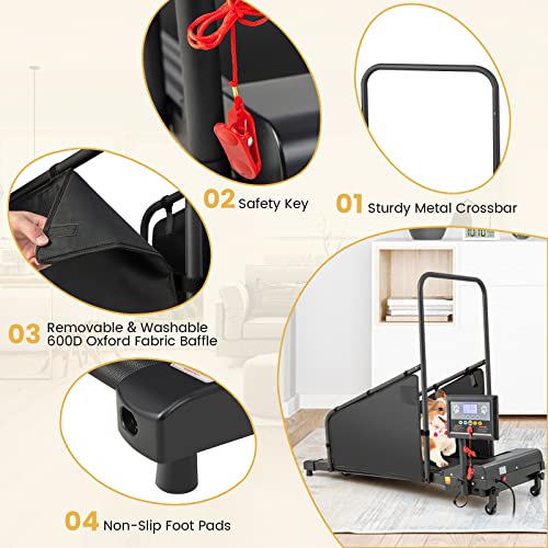 Black Pet Treadmill with Remote Control and 1.4'' Display Screen Y6825