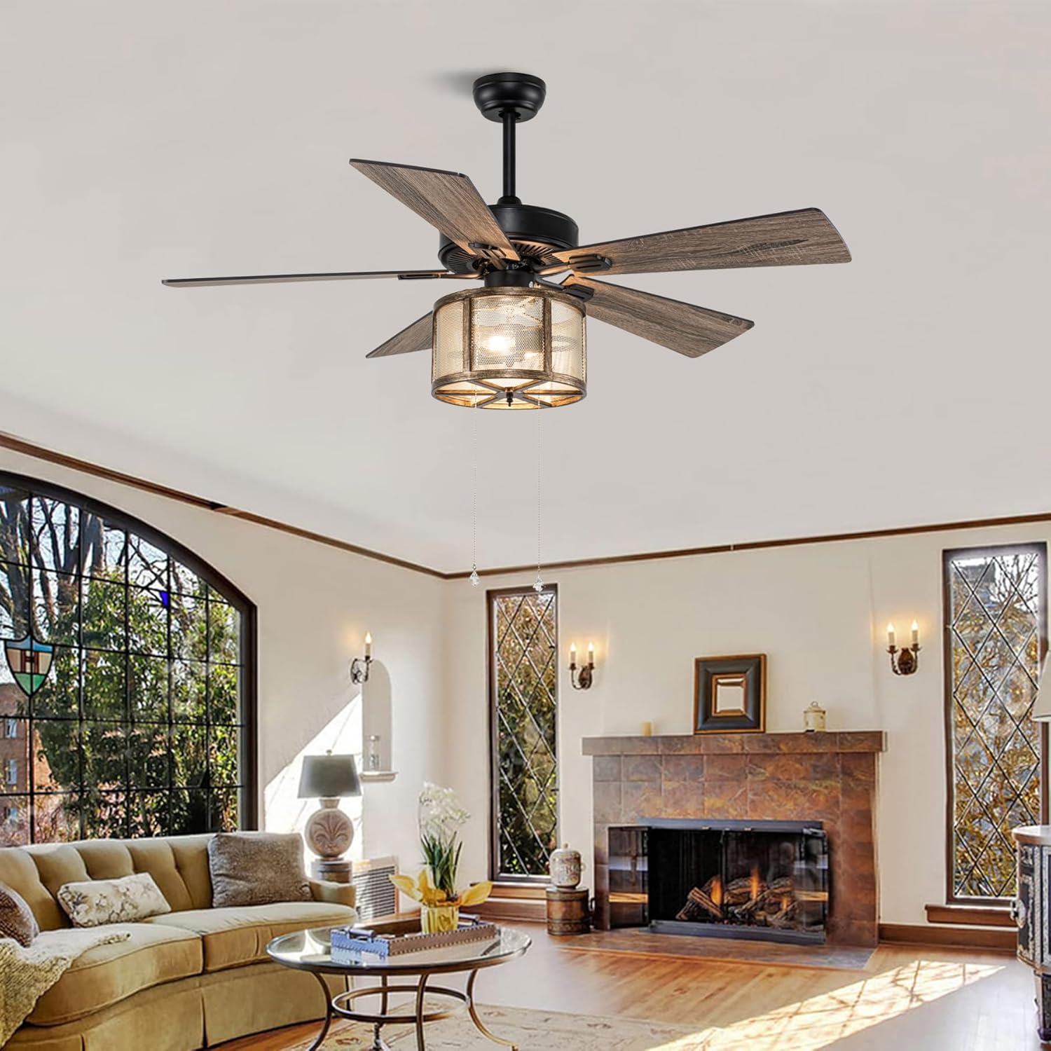 Matte Black Caged Ceiling Fan with Lights Remote Control I867