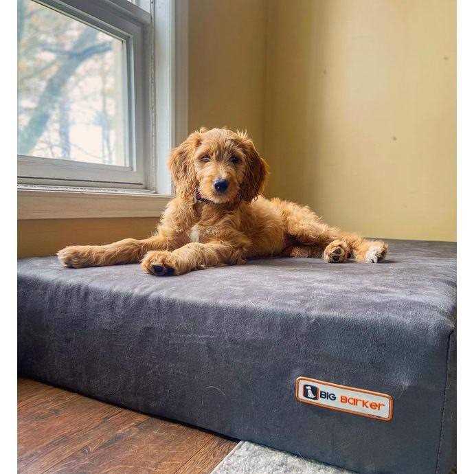 Orthopedic Dog Bed with Headrest Pillow Top N875857
