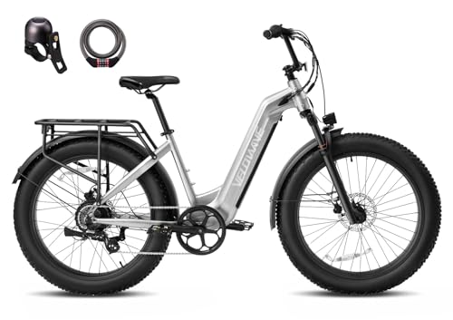26" Fat Tire Electric Bike with 750W Brushless Motor 48V 15AH Removable Battery Q50015