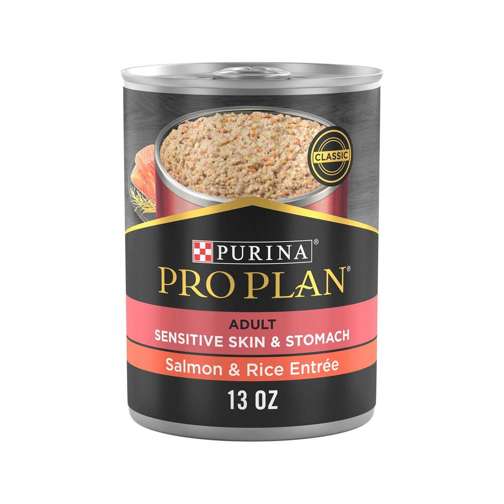 Salmon and Rice Entree Wet Dog Food N24644