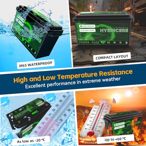 2Pack 12V 100Ah LiFePO4 Lithium Battery with 100A BMS P4673