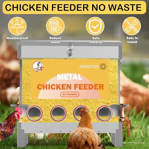 85lbs Metal Poultry Feeder (10-Port) Q4562